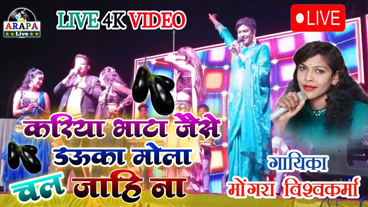 करिया भाटा जैसे डऊका मोला चल जाहि ना | Mongra vishwkarma | लाइव कार्यक्रम 2025 | मोंगरा विश्वकर्मा