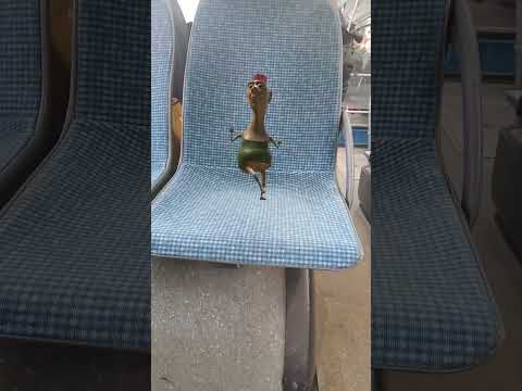 хамуда Хабиби хамуд