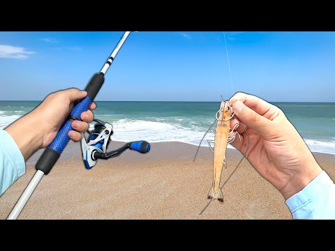 BIG FISH ate my LIVE SHRIMP! (Catch and Cook) Epic Beach Fishing 