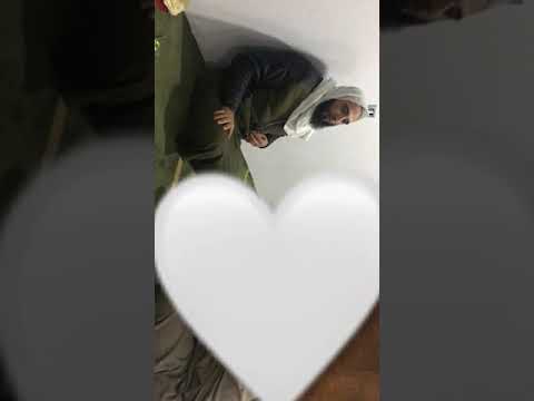 تجمع الخير فضيلة الشيخ محمود الزيني