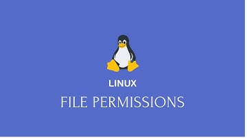 Master Linux File Permissions | Red Hat Linux Step-by-Step Guide