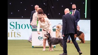 pastoral group CRUFTS 2024