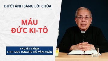 Bài 17: Máu Đức Ki-tô | Dưới ánh sáng Lời Chúa