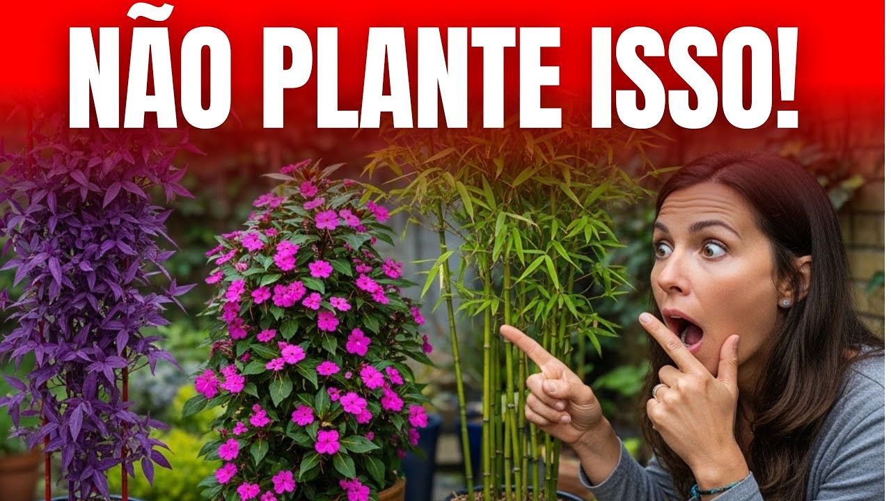 Essas 5 Plantas Parecem Inofensivas — Mas Podem Destruir Seu Jardim!