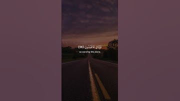 يا عبادي الذين آمنوا إن أرضي واسعة فإياي فاعبدون | سورة العنكبوت | القارئ عبدالرحمن مسعد
