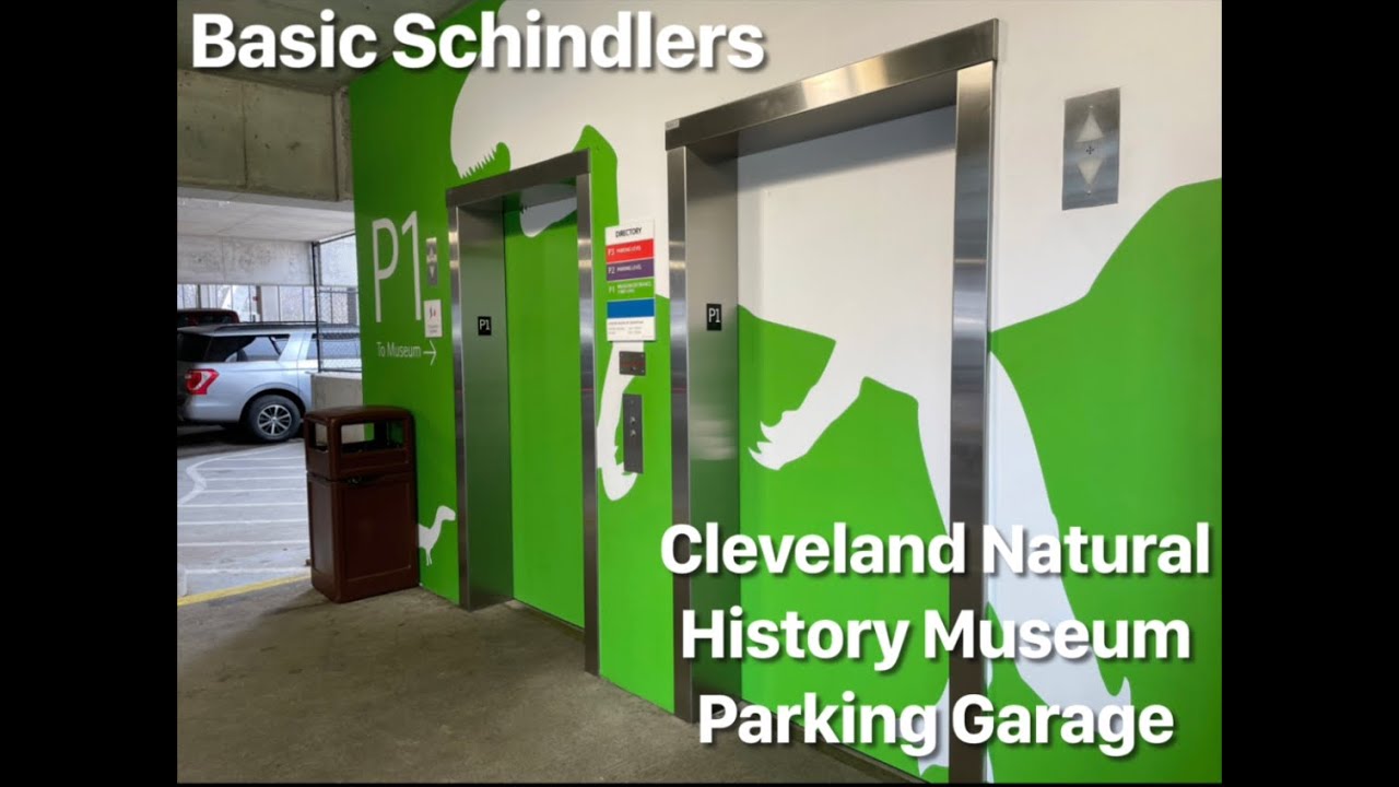 Schindler Hydraulic Elevators The Cleveland Natural History Museum