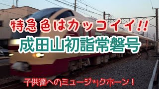 【国鉄特急色を迎え撃て！】E653系1000番台「成田山初詣常磐号」《鉄ちゃんぽ･番外編》