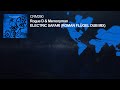 Rogue D &amp; Memoryman AKA Uovo - Electric Safari (Roman Flügel Dub Mix)