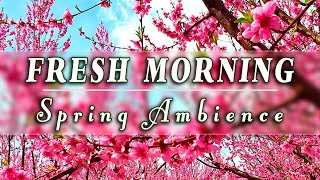 🌷͙֒🌞Good Morning Spring🌷͙֒Nature Therapy To Start Your Day W/ Positive Energy🌷͙֒Blossom Meditation#1