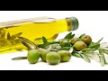 Olive Oil Production and Quality