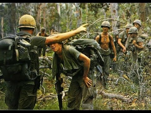 Jungle Patrol: Combat Actions Vietnam - YouTube gene diagram 