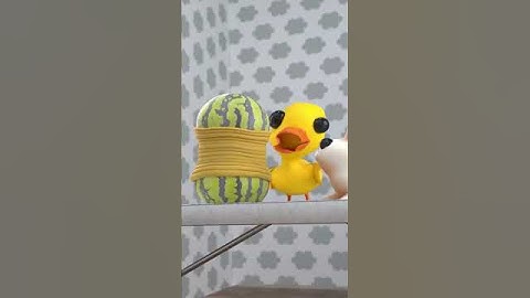 Watermelon challenge 🍉🪿 #humor #challenge #babyduck