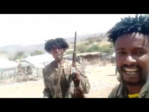 "ከም ጅግና ክትዋጋእ መፂእኻ ይብል" ኣባል TPF ንTDF