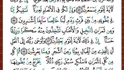 ختمة مصحف التجويد برواية قالون الصفحة رقم 274