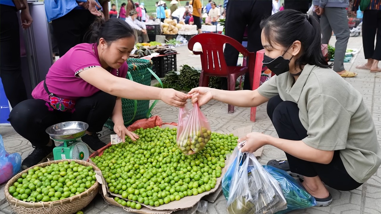Harvesting Plums and Village Market and Bamboo House Build - Ly Thi Ca Daily Life