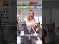 Ranking the best dog cake troll moments #viral #fypシ゚viral #shortsviral #foryou #funny