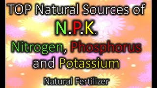 Top Natural Sources of N.P.K. Nitrogen, Phosphorus and Potassium. Natural Fertilizers. with value.