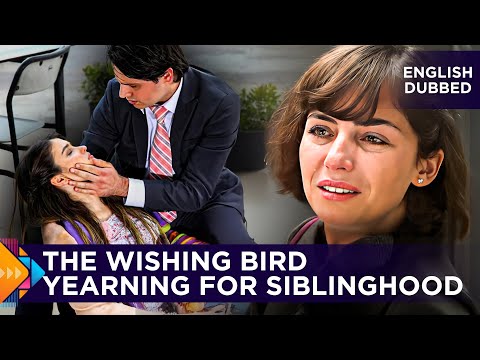 THE WISHING BIRD & YEARNING FOR SIBLINGHOOD - TURKISH MOVIES DUBBED IN ENGLISH - TWO STORIES IN ONE