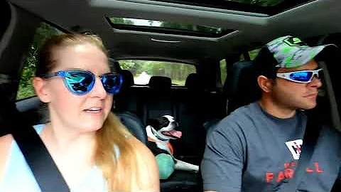 Magnolia Plantation & Gardens Audubon Swamp Garden l Charleston, SC l July 2020