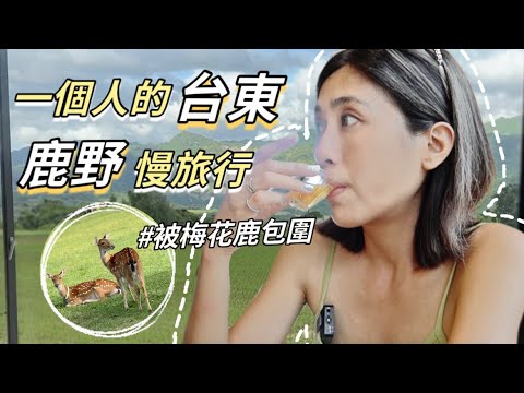 獨旅鹿野｜10個優選景點！到台東監獄裡吃飯????被梅花鹿包圍好療癒????坐在稻田裡喝茶｜Solotravel 單人旅行
