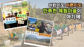 [2024년 농촌관광 기자단 &#39;레이지본여행&#39; 팀 강원도 원주 여행 후기!]