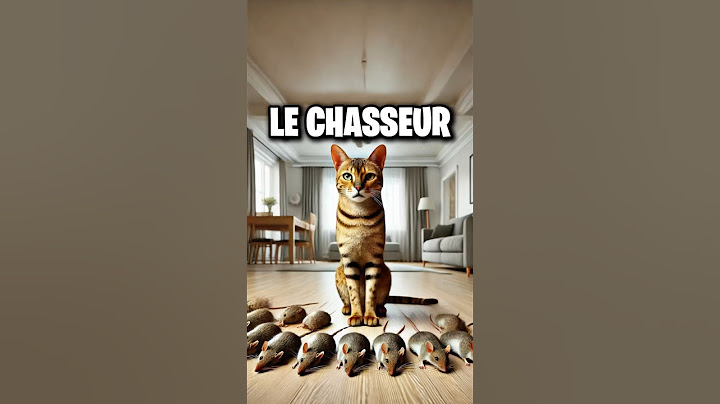 CHOISIS UN CHAT