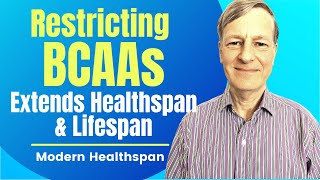 Restricting Bcaas Extends Healthspan Lifespan Review By Modern Healthspan