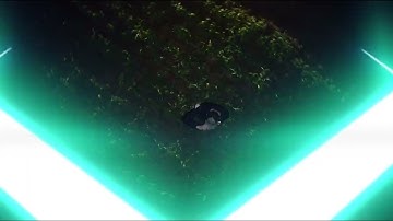 "Gimmicks" Official Music Video