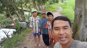 Bữa cơm trưa cùng với cá rô phi chiên giòn, rau muống xào!| @xeocanTV T5