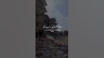 #عبدالرحمن_مسعد من سورة آل عمران