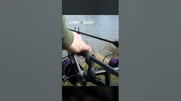 Second generation of popular carp rods now in new, luxurious design. Delphin CorsaBlack Nero