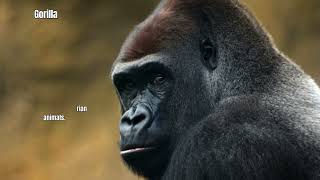 Animals That End With A