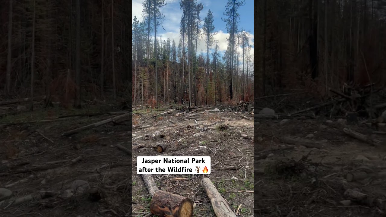 Jasper, AB after the Wildfire 🪾🇨🇦 