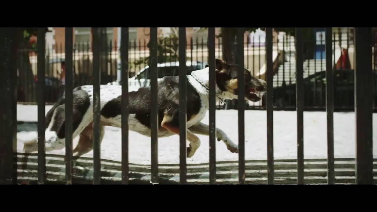 Freefly Tero + MoVI M15