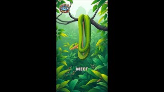 The Enchanting Green Tree Python Net Worth