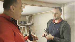 ON A VISIT TO BUSUIOC ALEXANDRU