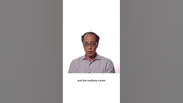 Ray Kurzeil Predicts Artificial General Intelligence (AGI)