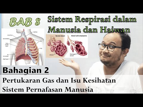 Video: Adakah anjakan bergantung pada laluan badan?