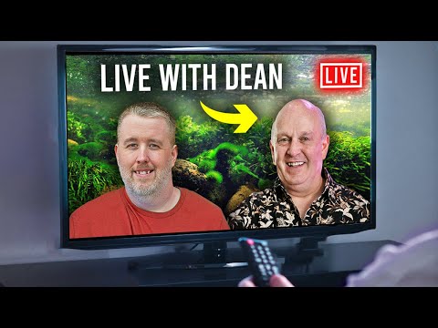Live Stream  #253 with Deans Fish Room.