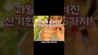 과일에 숨겨진 신기한 비밀 6가지! #과일상식 #과일이야기 #재미있는지식 #숨겨진비밀 #수박의진실 #딸기의비밀 #바나나상식 #파인애플효소 #포도이야기 #쇼츠지식