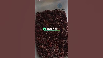 Infrared Color Sorter from Henning Saint Technology