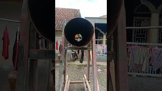 Download Lagu bedug bolong bersuara seperti banyak orang yang memukulnya bikin aneh MP3