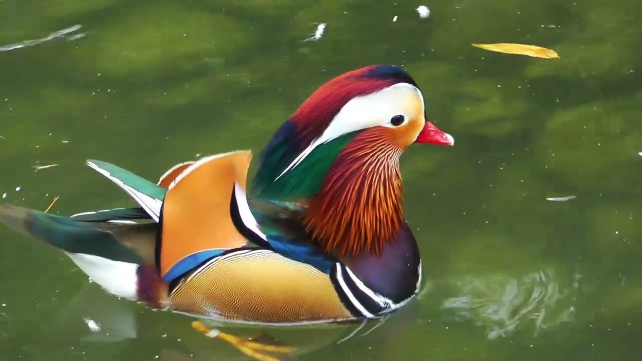 How do you like my designer clothes?