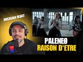 PaleNe&Oslash; - Raison d'etre (Official Music Video) - Brazilian React