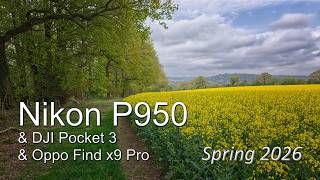 Nikon P950 - Spring 2026 Nikon P950 - Spring 2026