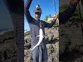 El amigo melvin con su pesca pesca playa buenapesca viral fishing pescando  pescaydevolucion
