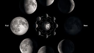 Nitya Breathing Meditation - Winter Solstice News
