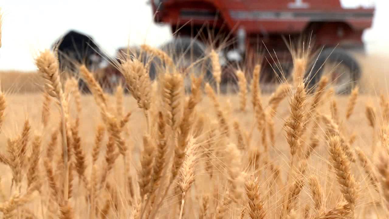 WA Grown S1E13 Eric Maier Family Farm
