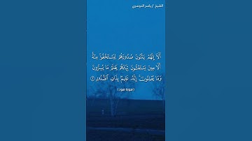 سورة هود ( ٤ - ٥) / ياسر الدوسري