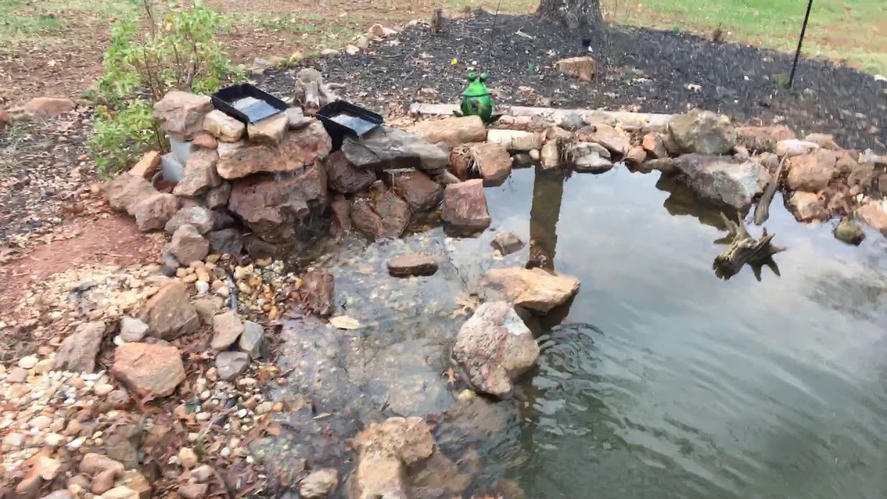 camera iphone 8 plus apk Pond is Open